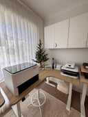 Wooden Coaster | Dandelion Fox | eco friendly | coasters