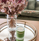 Daintree Rainforest 100% soy candle | phthalate free candle