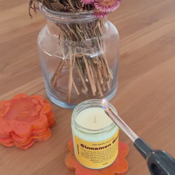 Daintree Rainforest 100% soy candle | phthalate free candle