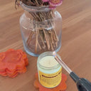 Sugar Punch | 100% soy candle | phthalate free candle